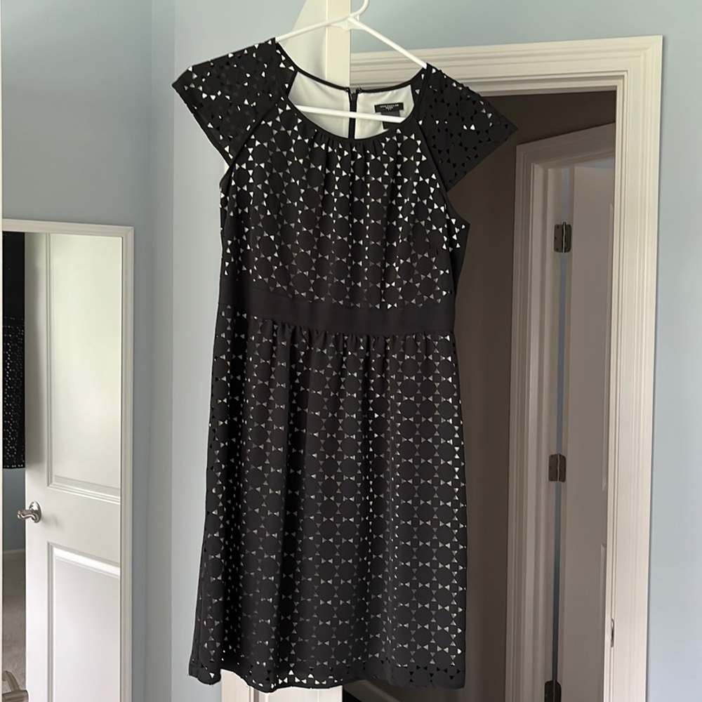 Ann Taylor Dress
